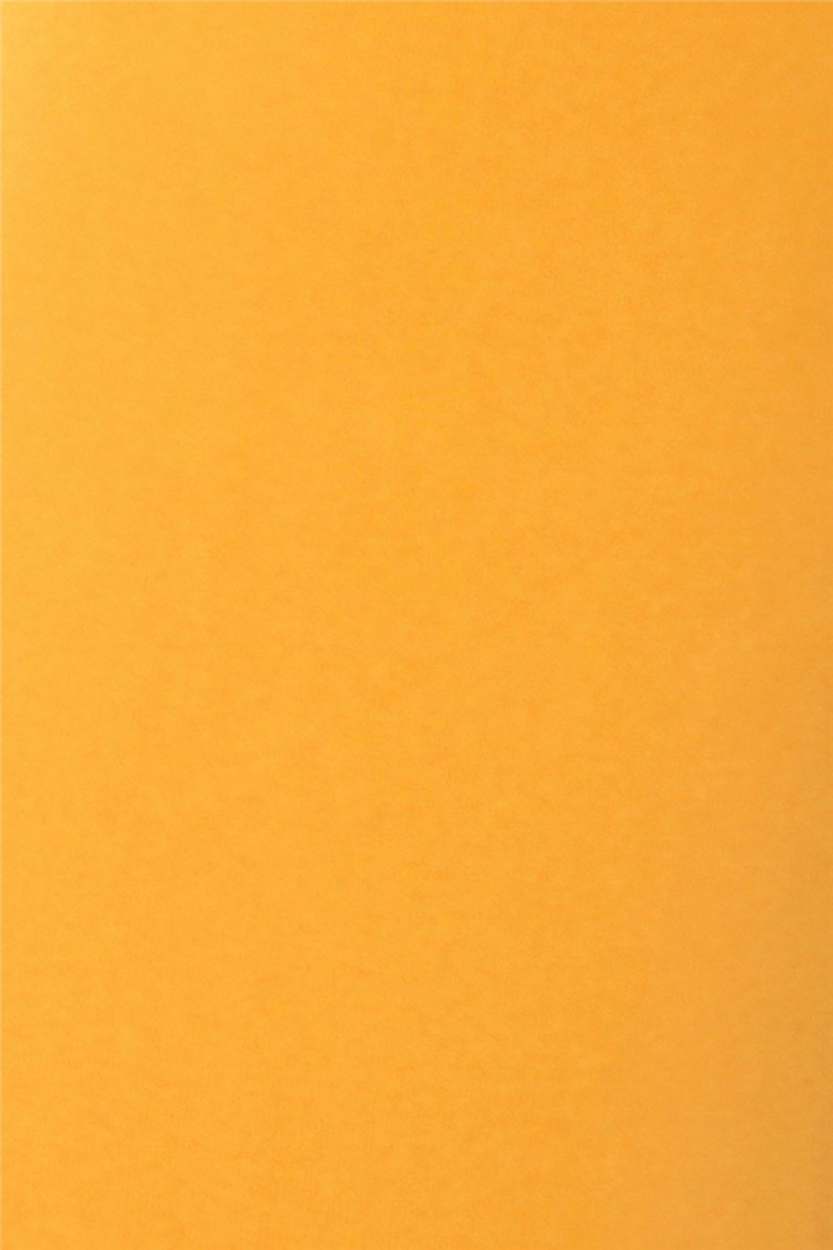 女士紧身裤外穿高腰打底裤纯色欧美跨境leggings亚马逊爆款九分裤