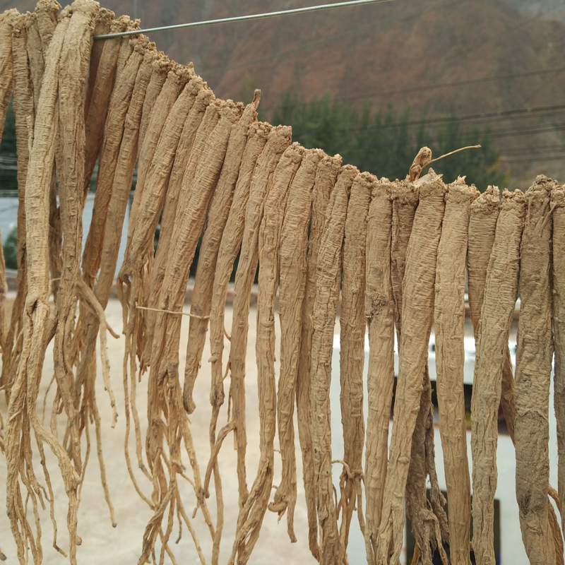 甘肃迎合堂党参个子白条党无硫党参文县纹党中药材精选整条500g