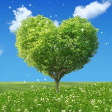 diy爱心树钻石画