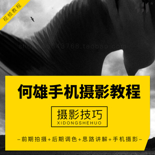 拍照姿势视频教程全身_1020拍照教程_拍照视频教程