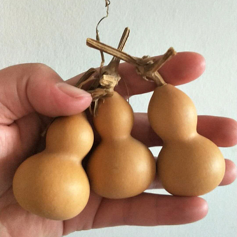 文玩小葫芦民间工艺品葫芦手把 带龙头小美国手捻葫芦4-6厘米