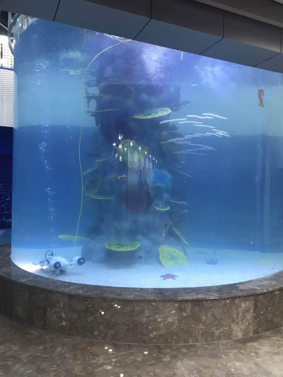 亚克力游泳池,水族馆,海洋馆的亚克力隧道等水族景观工程设计