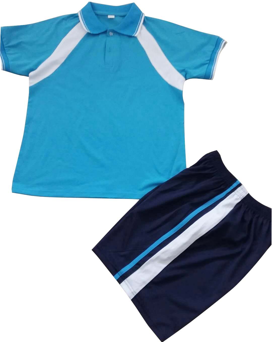 厂家批发中学生男女夏季校服 订制男短裤女短裙班服 可印制校徽