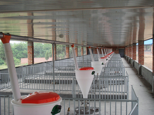 使用全自动饲喂设备也成了现在中大型养殖场需配的设备, 养猪自动喂料