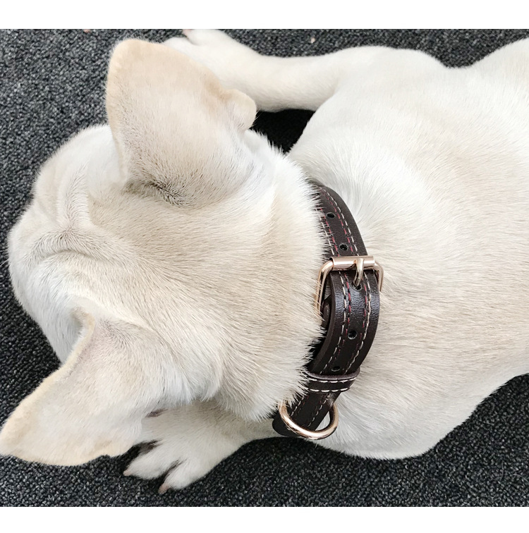 新款宠物项圈狗狗脖圈防咬猫颈圈泰迪柯基恶霸狗颈圈小型犬狗项圈