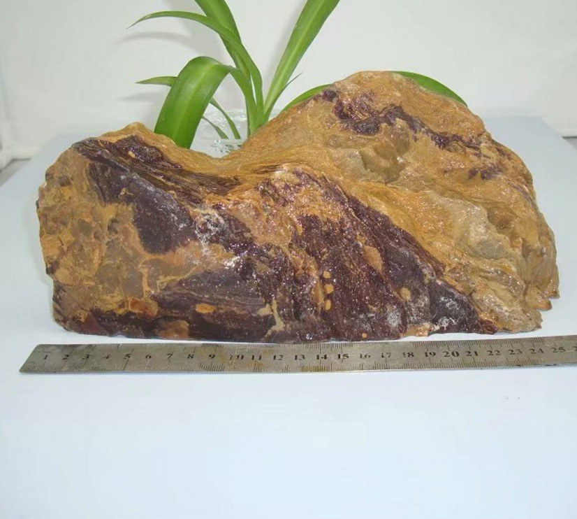 【新国石印石坊】250天然原石料叶腊石虎皮石摆件料3.3公斤寿山石