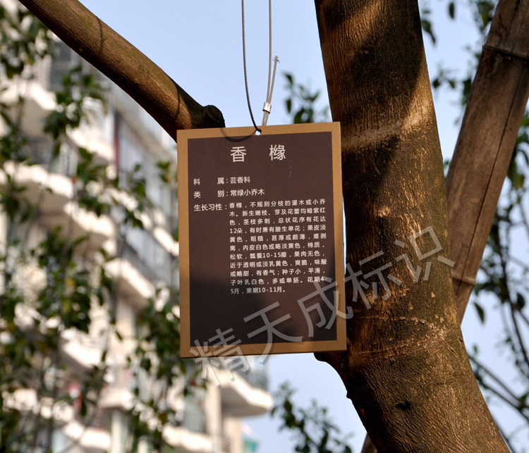 厂家直销室外标识小区公园校园标识 植物铭牌 亚克力树铭牌