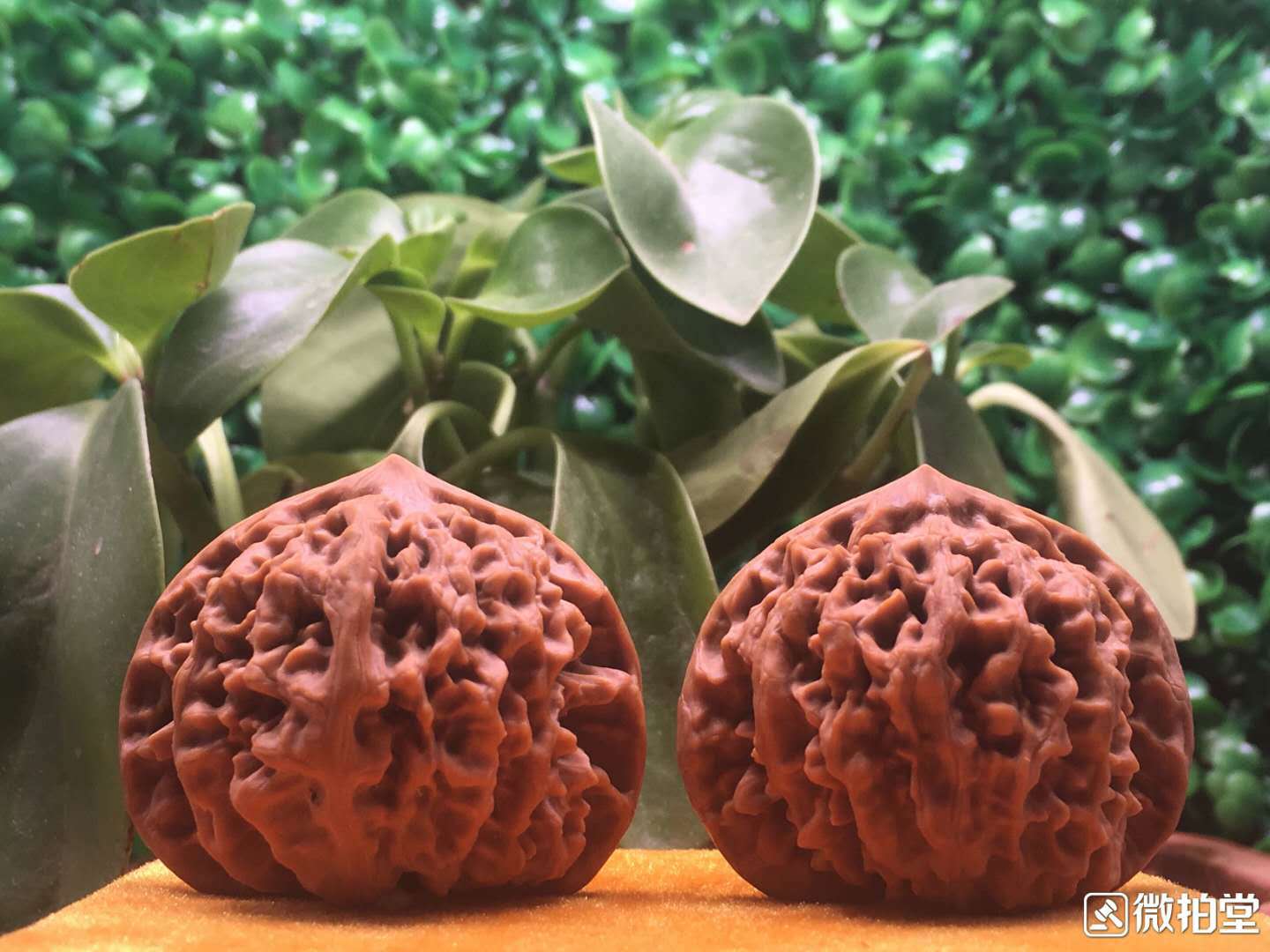 河北涞水文玩核桃 京八对狮子头精品对 把玩礼品核桃手把件批发