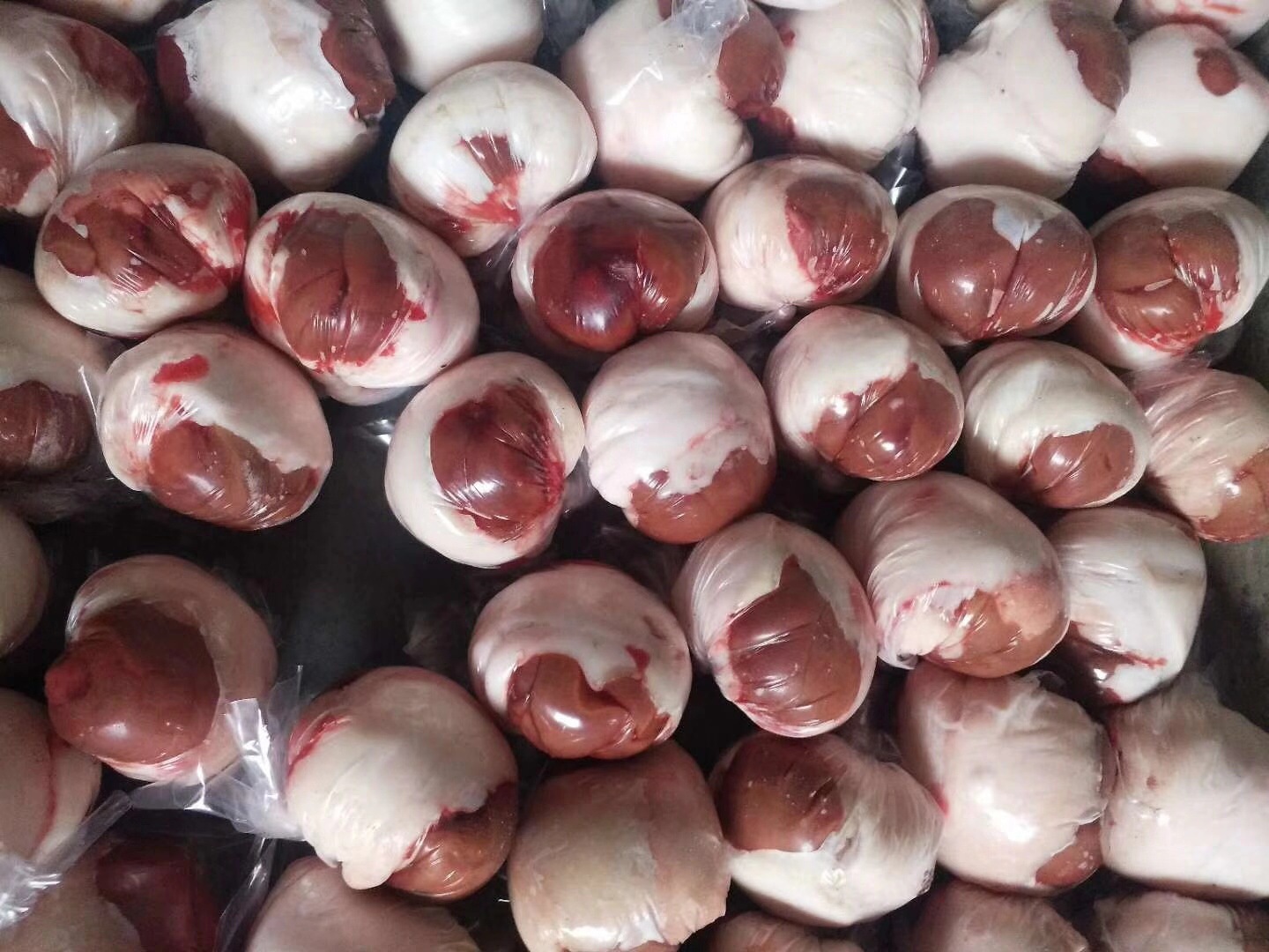 大量批发原油羊腰子 包油羊腰子 原油包油牛腰 望京小腰 冷链配送