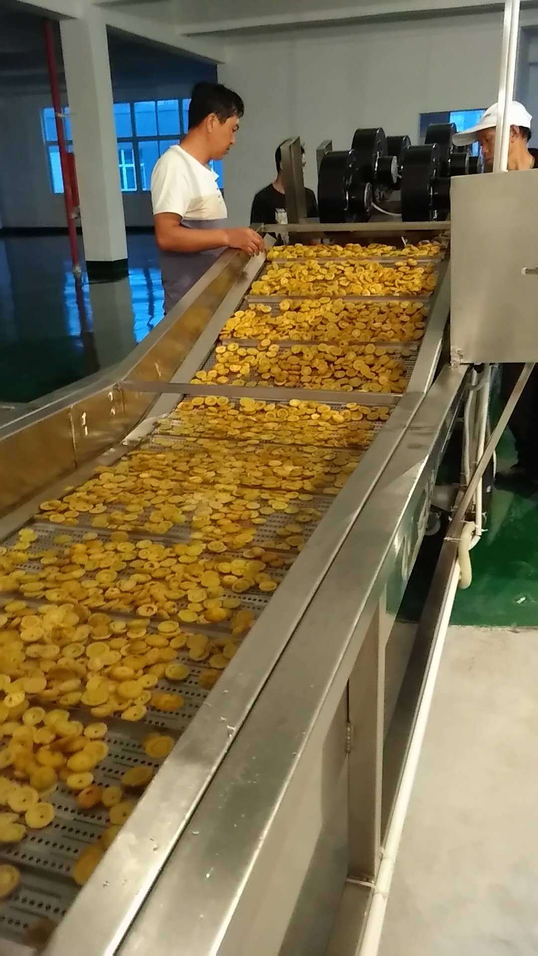 格翎(上海)刺梨果汁生产线 专业刺梨果汁生产线厂家 刺梨果汁