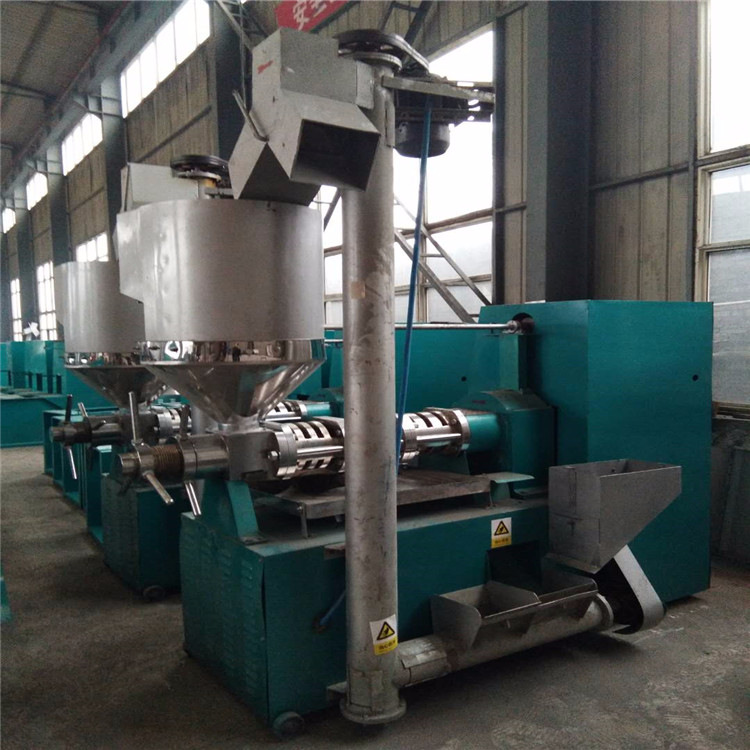 供应160型双轴榨油机 多功能商用油坊用花生榨油机
