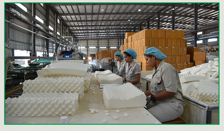 乳胶片材专用填充材料干蒸式乳胶棉飘窗垫实木沙发垫乳胶海绵床垫