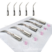 牙科器材 口腔齿科材料 一次性洁牙机工作尖 洁牙机刀头 宽/尖头