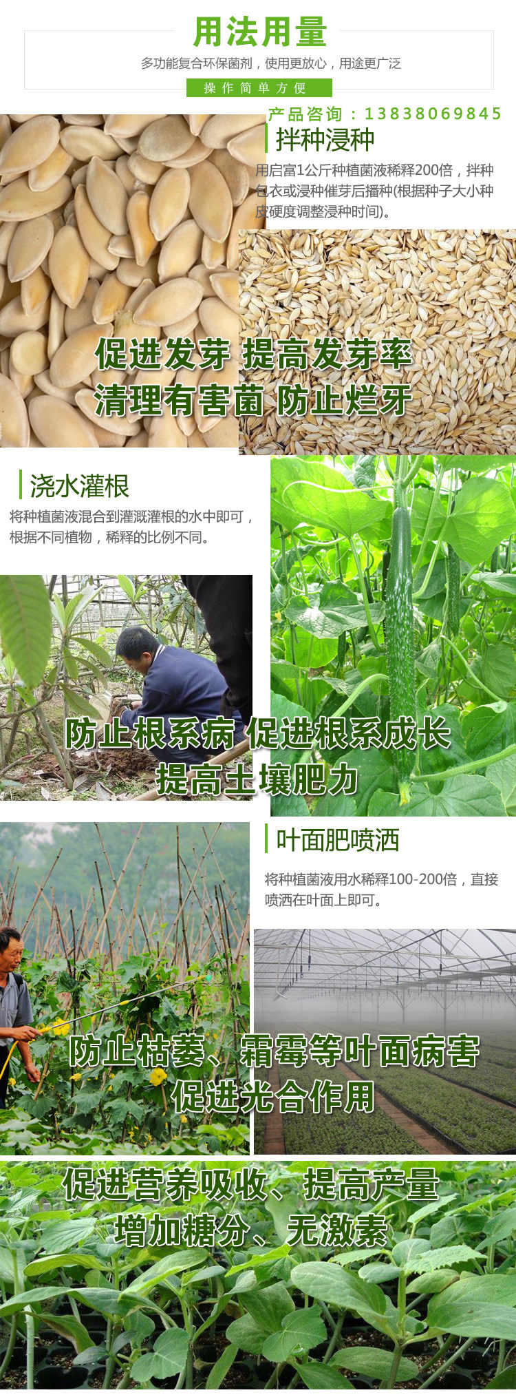 黄瓜角斑病防治液使用方法