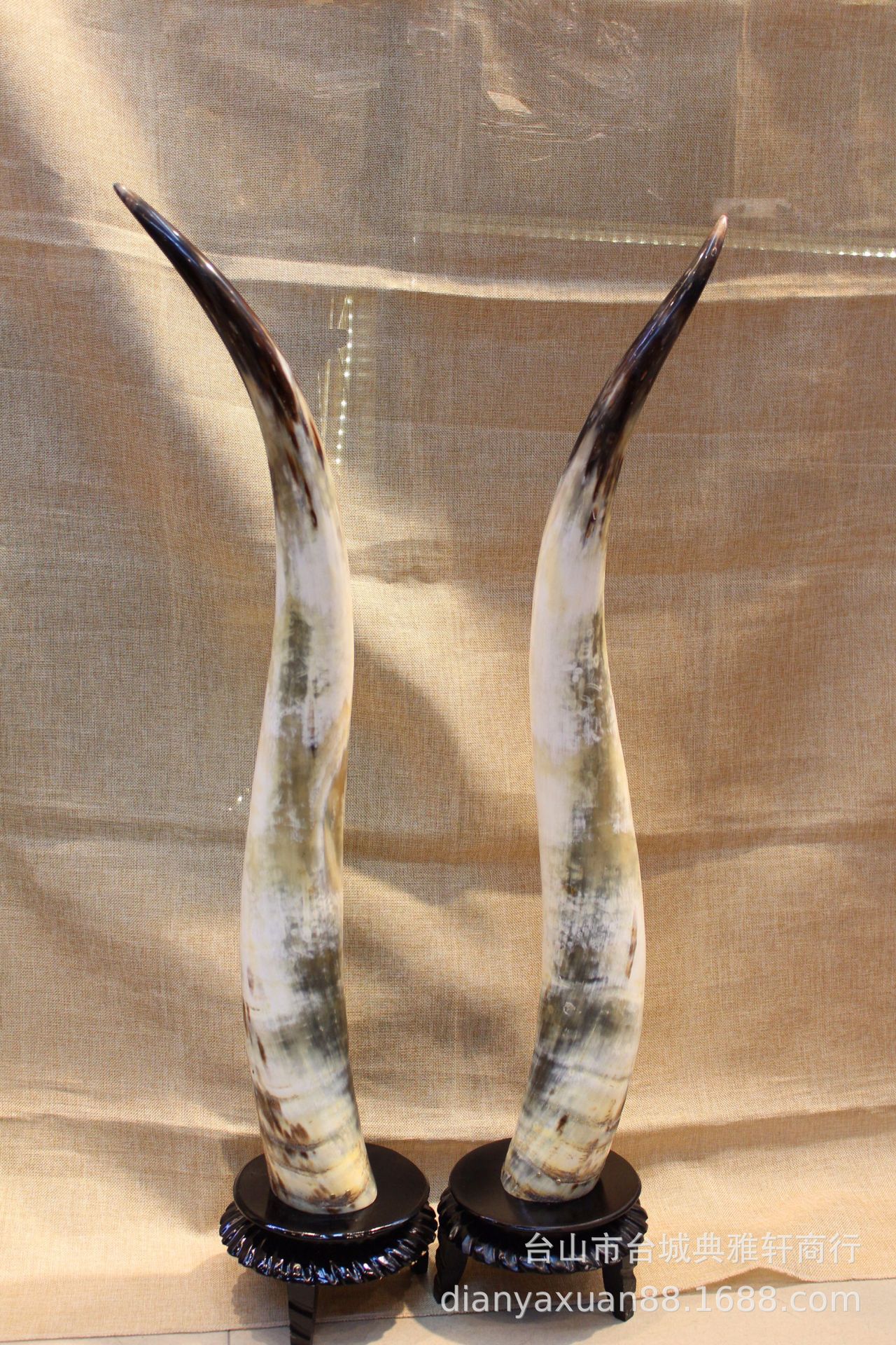 牛气冲天牛角摆件 天然牦牛角摆件(对)牛角 家居摆件