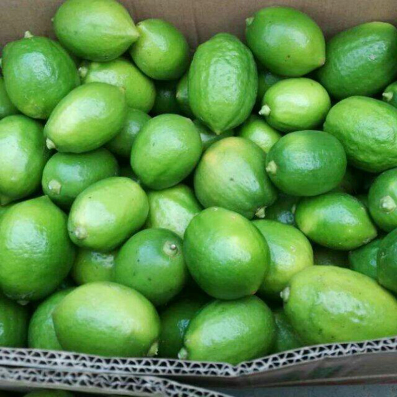 香水柠檬新鲜广西青柠檬容县香水柠檬热带水果五斤装