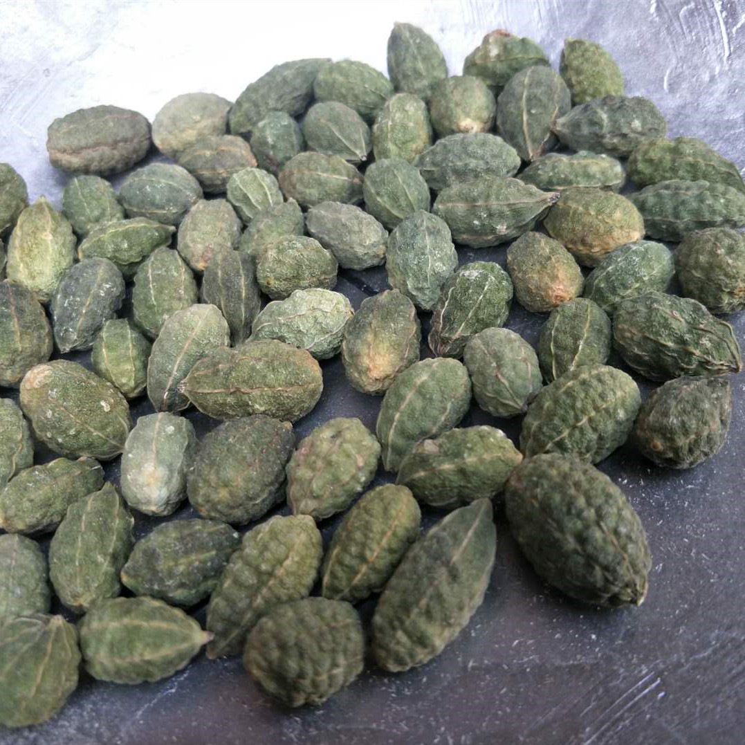 无硫新货 中药材 野西瓜 老鼠瓜 勾刺槌果藤 抗旱草 支持药检