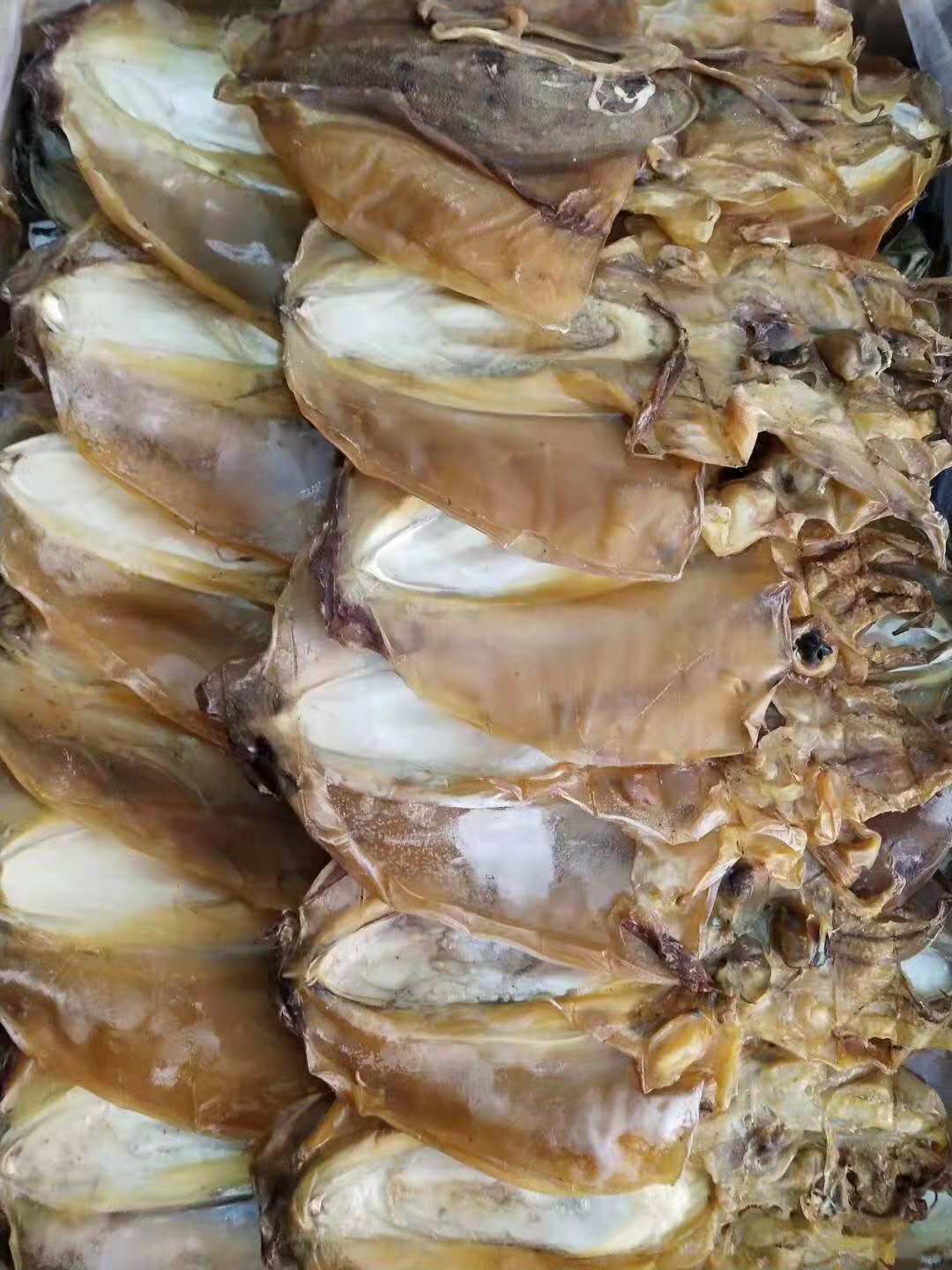 北海纯淡大墨鱼干乌贼目鱼 渔船淡晒墨鱼乌鱼海鲜干货