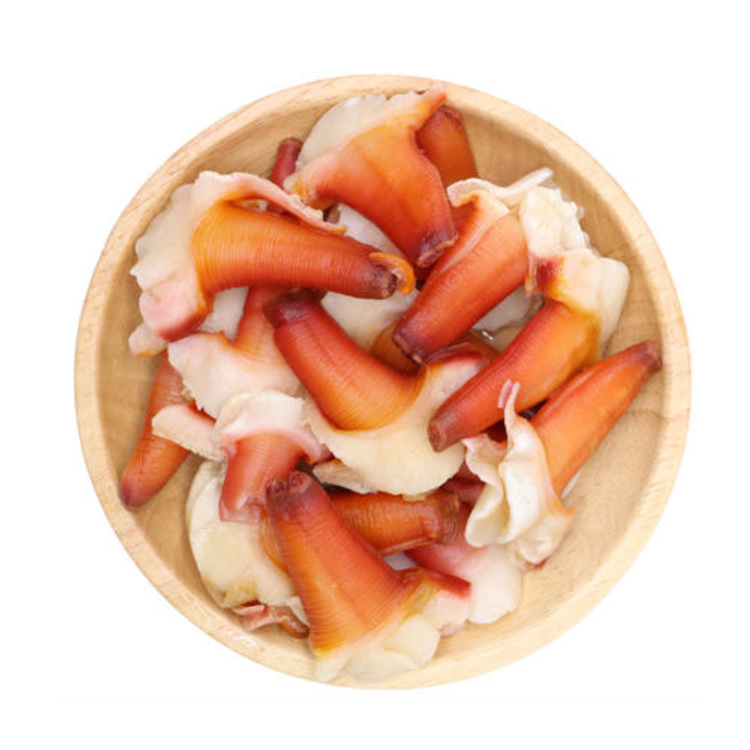 【海之林】兰花蚌 桂花蚌 冰山蚌 火锅酒店餐饮 供应