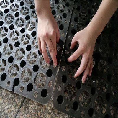 屋顶花园绿化种菜隔热地下室顶板隔热透气加强型蓄排水板土工布