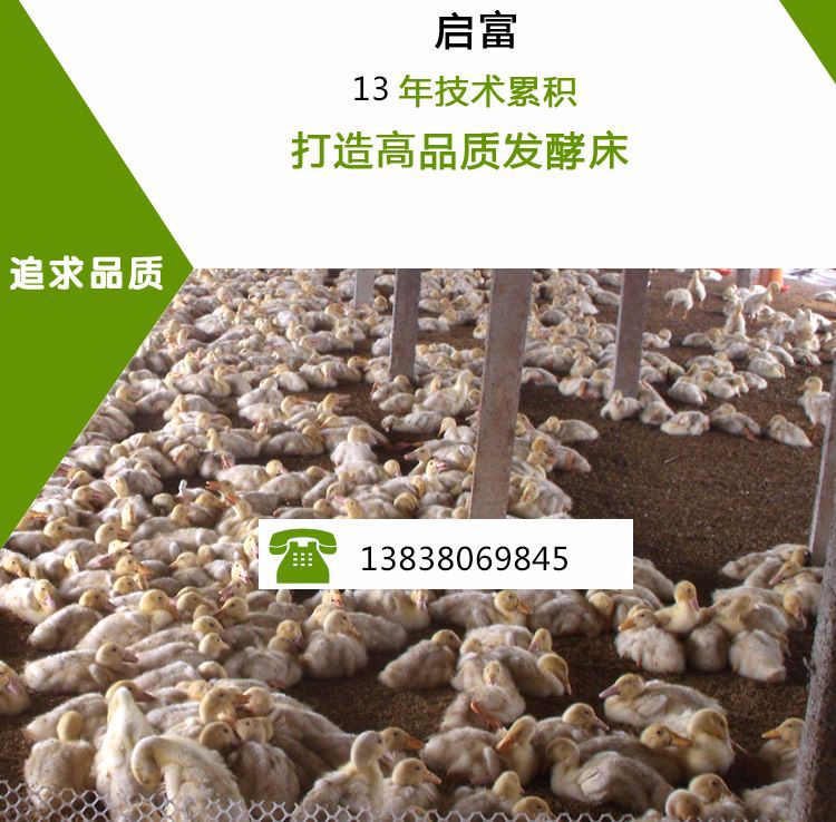 养鸭发酵床益生菌