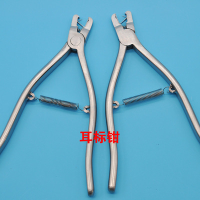 304不锈钢大小鼠耳号钳耳标钳小鼠耳标钳耳号钳