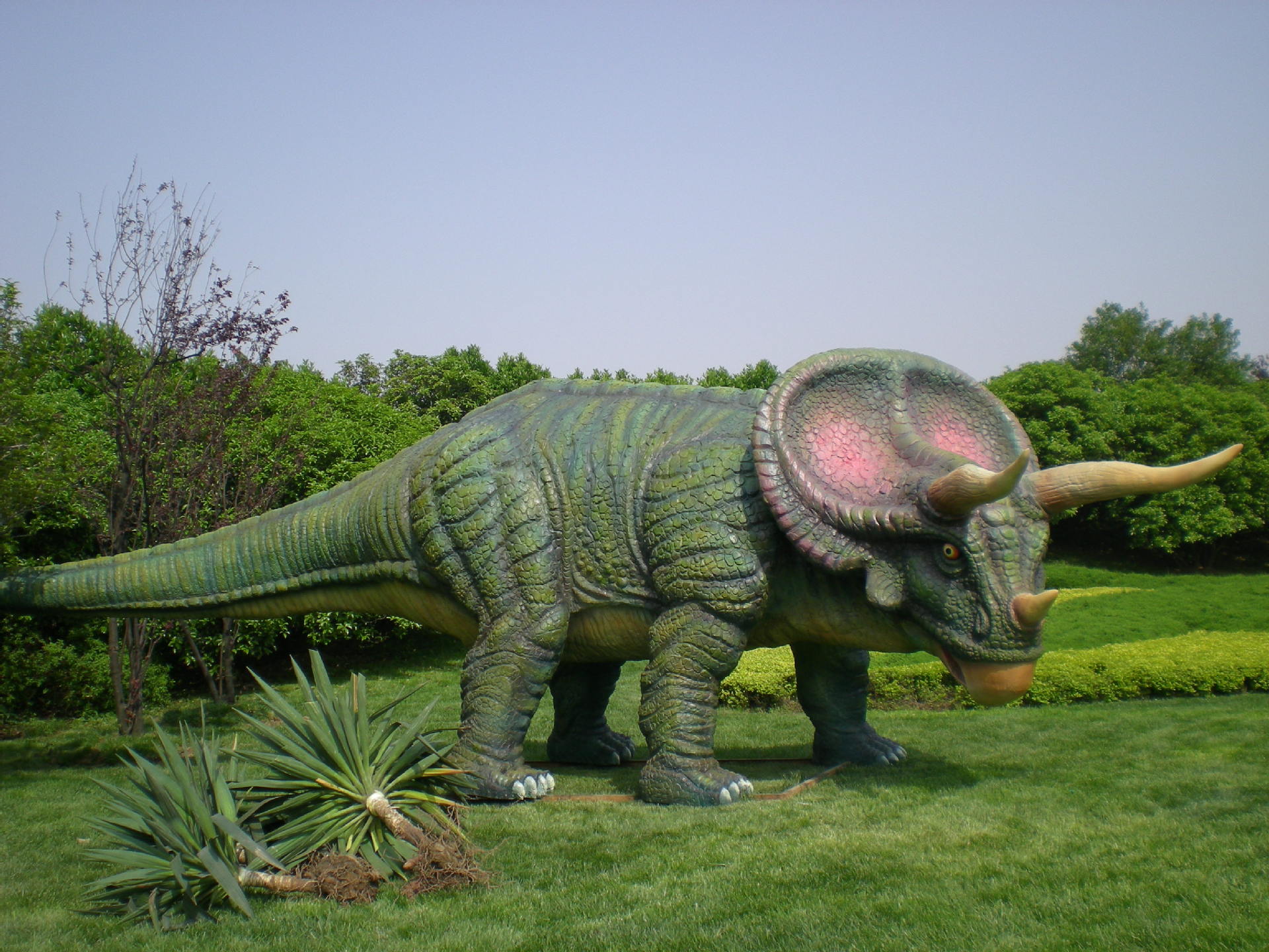 仿真恐龙 恐龙化石 大型仿真人造恐龙骨骼 户外创意玻璃钢仿真恐龙