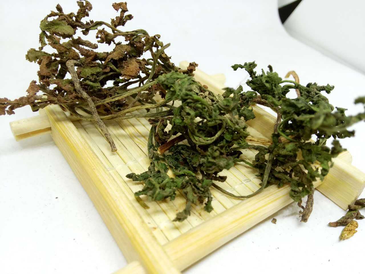 包邮产地货源飒枫中药材 华东阳地蕨 一朵云 小春花满天云冷背货