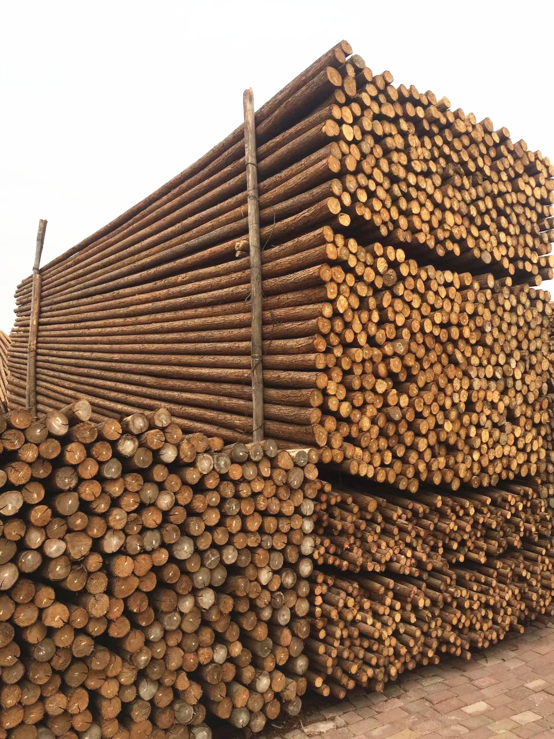 北京雄安山东内蒙园林绿化木杆杉木杆支撑杆竹竿批发 15101699188