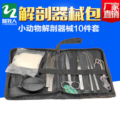 小动物解剖器械 10件套手术剪放大镜三爪链钩手术解刨