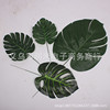 simulation Turtle leaves Coco photograph prop leaf flower arrangement DPM Background wall Big leaf three-dimensional Blade simulation Turtle leaves Coco photograph prop leaf flower arrangement DPM Background wall Big leaf three-dimensional Blade
