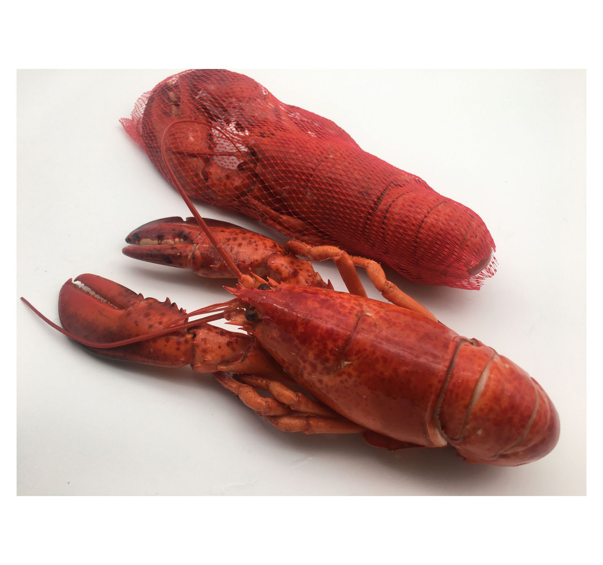 冷冻海鲜正关皇冠牌 活冻古巴龙虾大龙虾冻龙虾3-3.5斤只一箱16斤