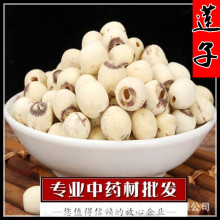 中药莲子