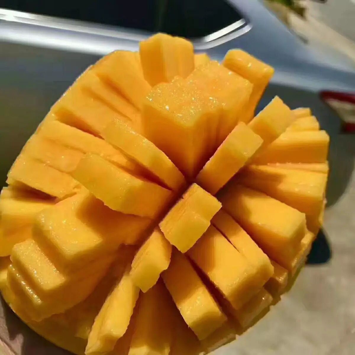 【买四斤送5斤】攀枝花凯特大芒果净重9斤 新鲜非贵妃芒一件代发