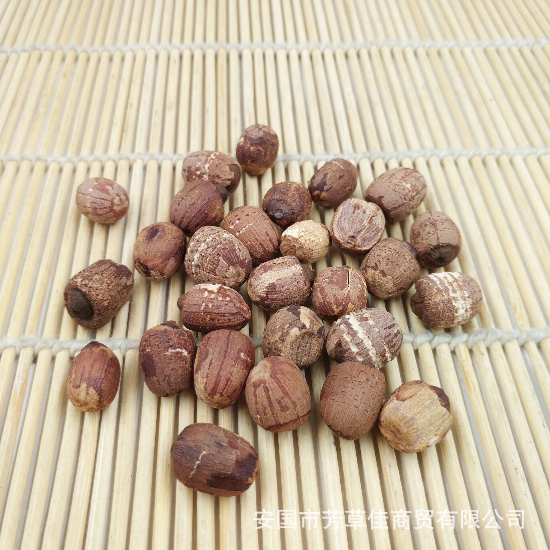 批发莲子肉 莲子 莲实 藕实 产地直销 量大从优