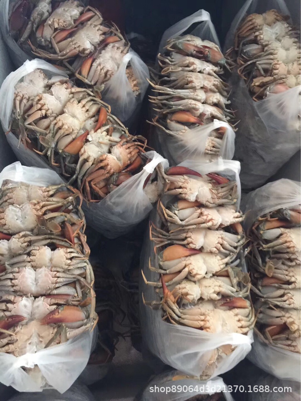 新鲜优质冰冻螃蟹缅甸螃蟹大钳大脚香辣蟹青蟹海鲜冻品货量大批发