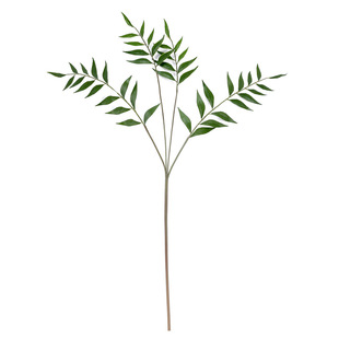 塑胶仿真花风影叶 树叶假花 高档仿真植物 绿植装饰 铁树锯齿叶图片