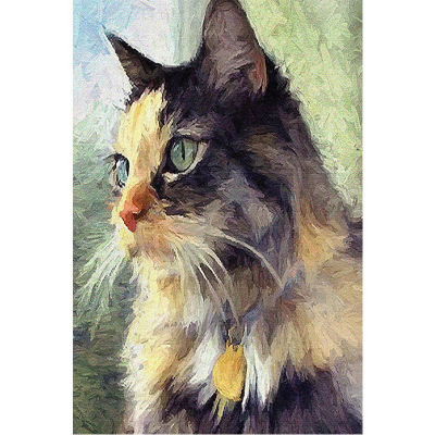 厂家批发 新款动物油画猫咪 钻石画满钻 贴钻十字绣 外贸跨境货源