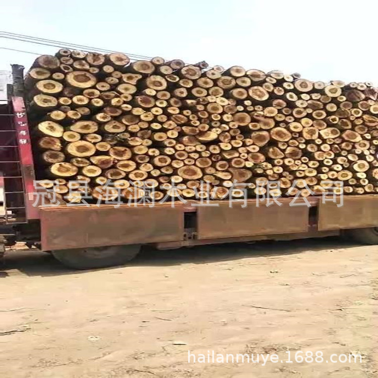 欢迎来厂订货耐腐蚀性强的 杨木木片