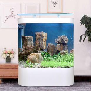 80cm鱼缸造景