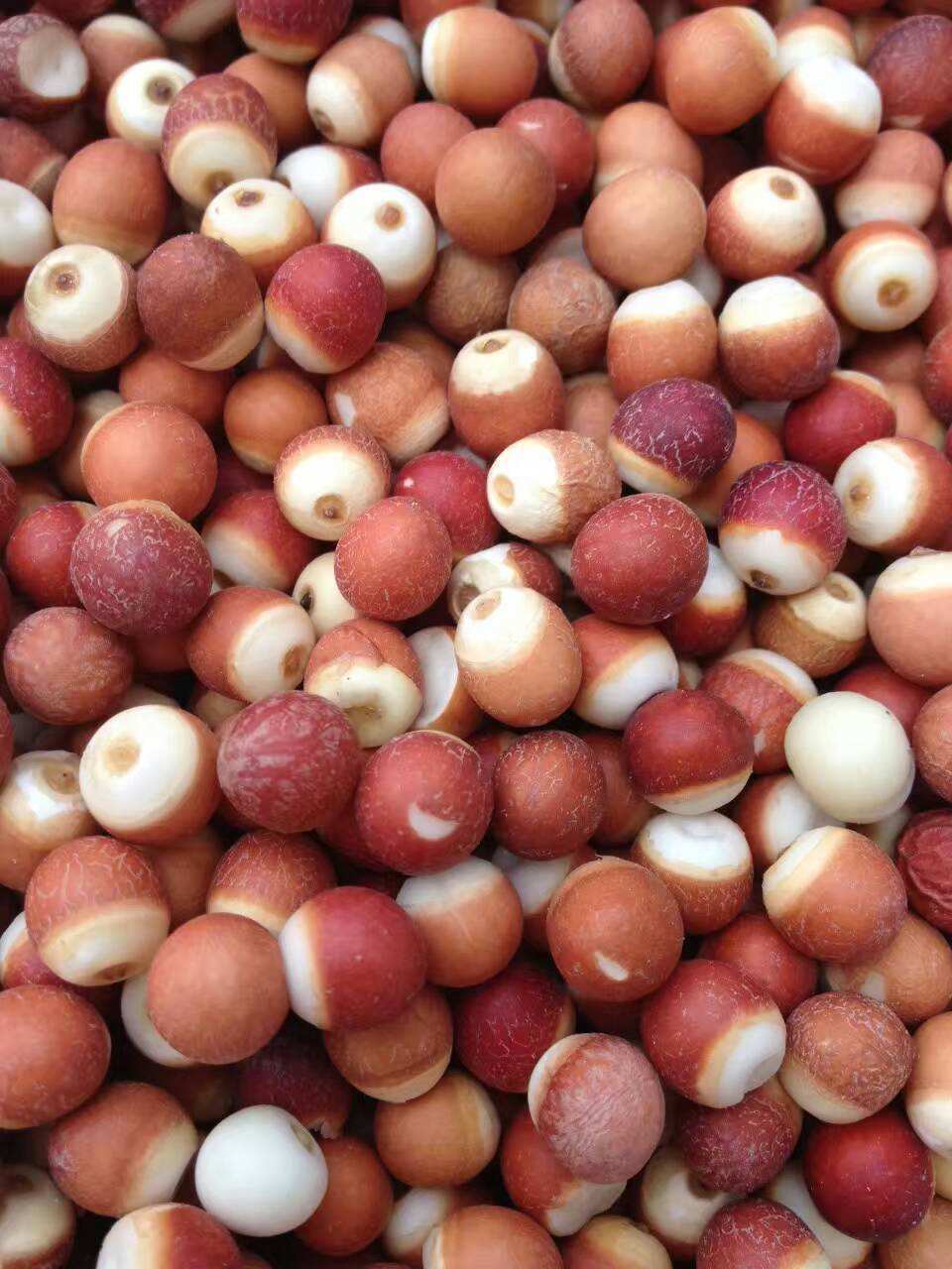 红薏米芡实茶,红豆薏米芡实功效与作用你了解多少