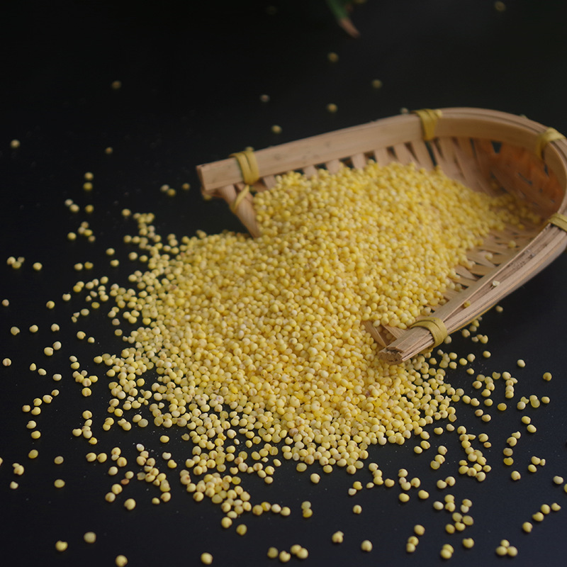 合众养道真空包装大黄米 糯小米 五谷杂粮390g/袋