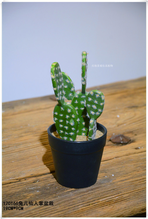 仿真扁仙人掌盆景 仿真兔儿仙人掌盆栽室内家居微景观装饰