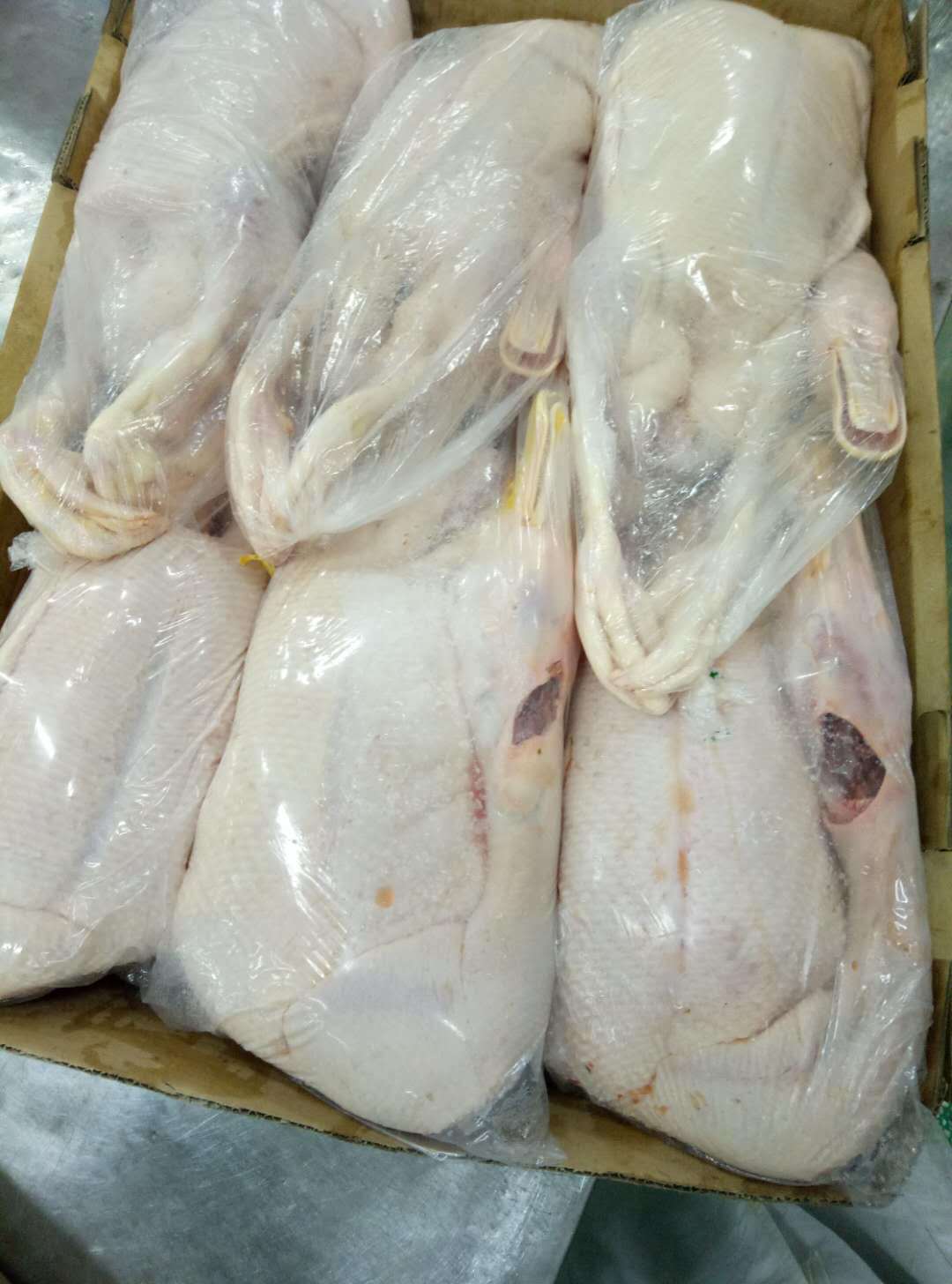 新鲜冷冻老鸭 40斤-10只装 正中土老鸭 生鲜老鸭肉