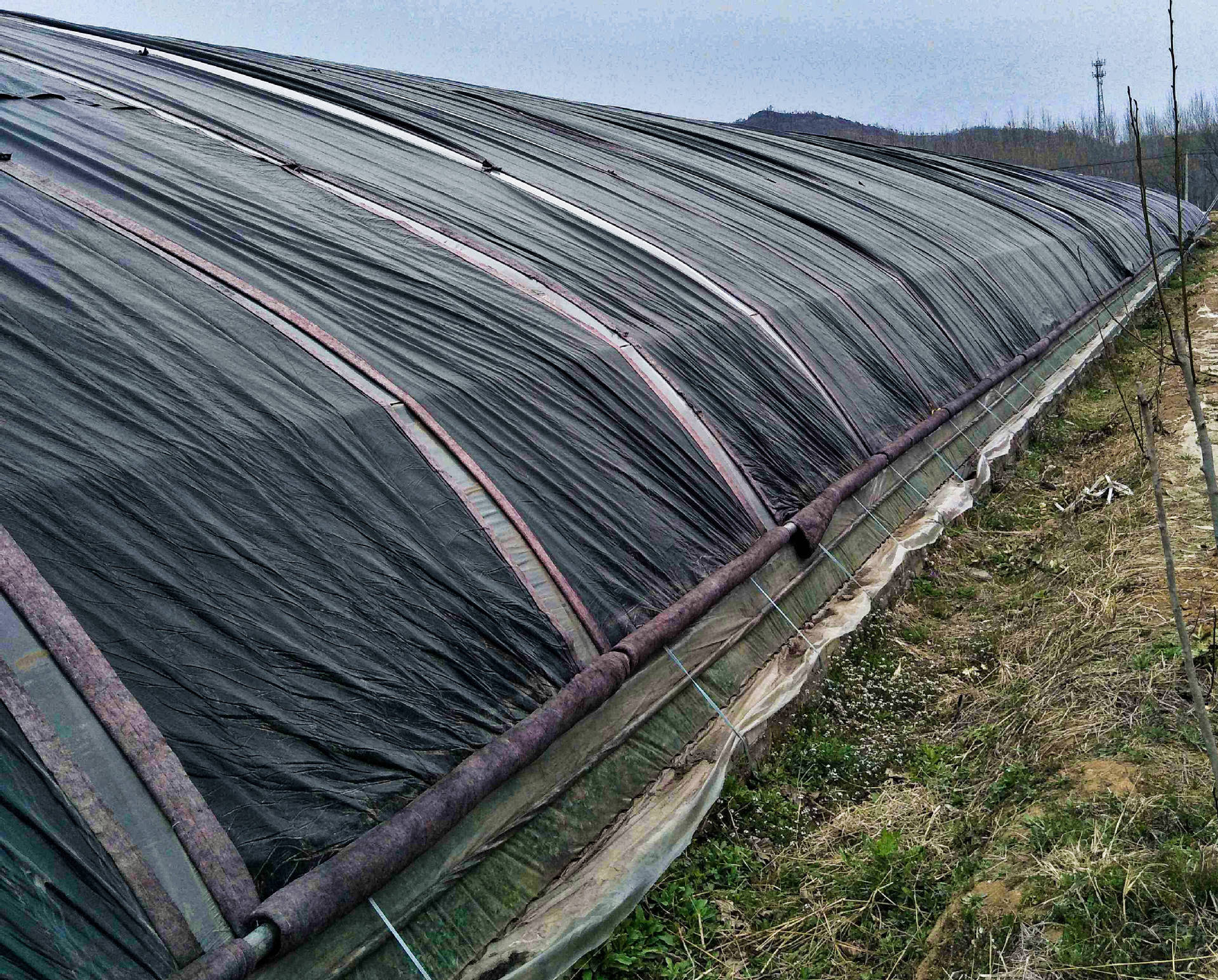 厂家直销定制400g多规格无纺布蔬菜养殖大棚保温毛毡 防寒保温毯