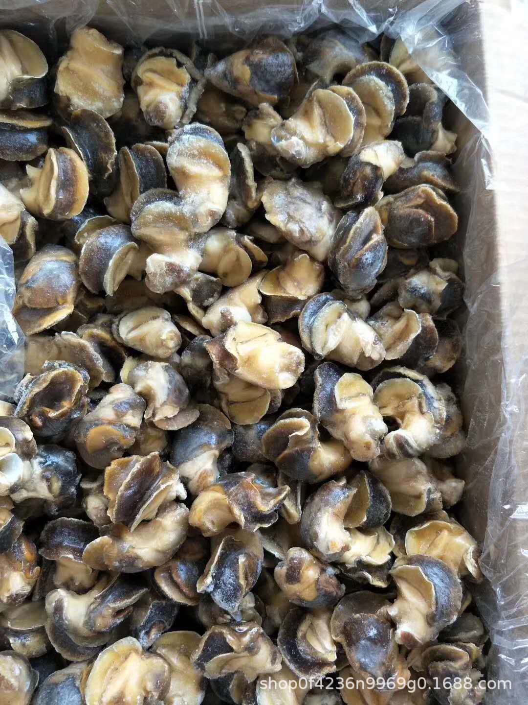 单冻香螺 玉螺 冷冻水产品海鲜自助餐火锅爆炒螺冷冻螺肉10kg/件