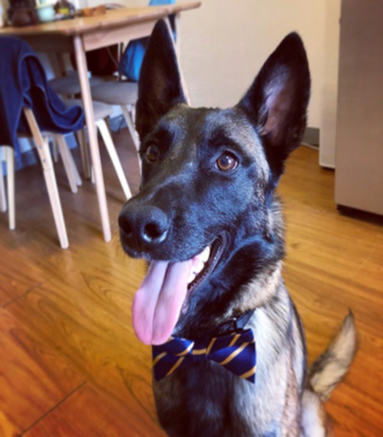 适用性别 通用 是否专利货源 否 尺码 红底黑面,白底黑面,藏青红白条