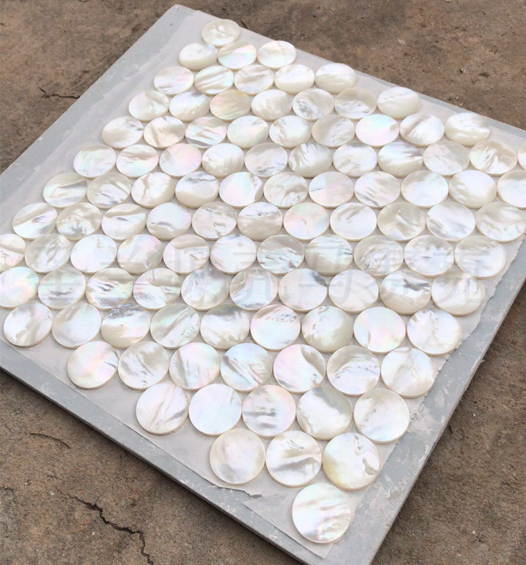 白碟贝 圆形贝壳马赛克 厂家直销 30mm圆片 贝壳马赛克 2.8mm