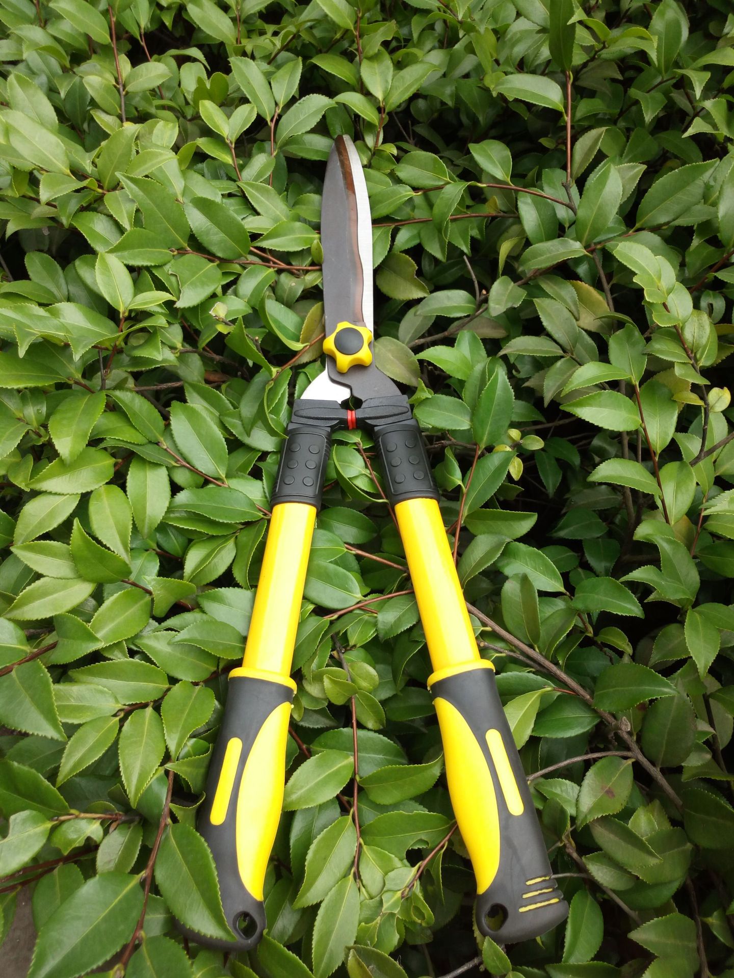 厂家直销高质量园林剪整篱剪篱笆剪花园剪整枝剪园艺剪