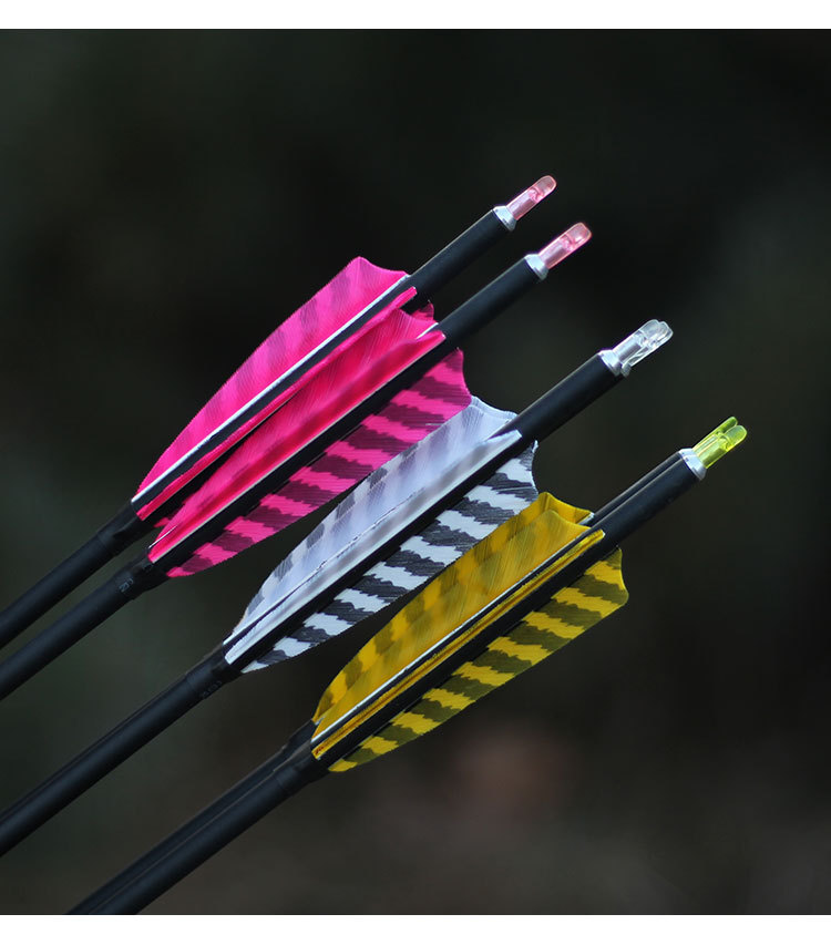 2内径可换箭头真羽箭支射箭弓箭火鸡真羽混碳箭